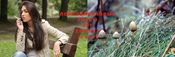 дмт Арсеньев