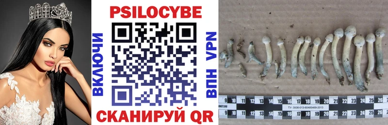 Псилоцибиновые грибы мухоморы  Урус-Мартан 
